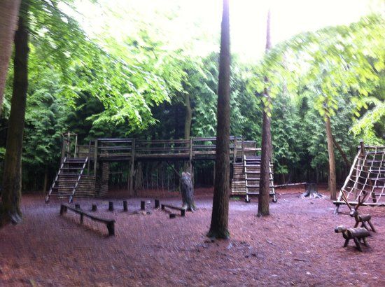 Wilderness Wood