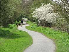 Cuckoo Trail