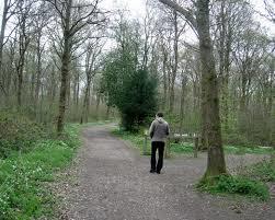 Abbot's Wood