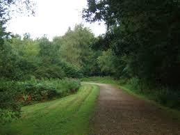 Battle Great Woods