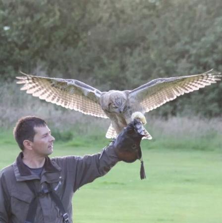 Falconry Heights