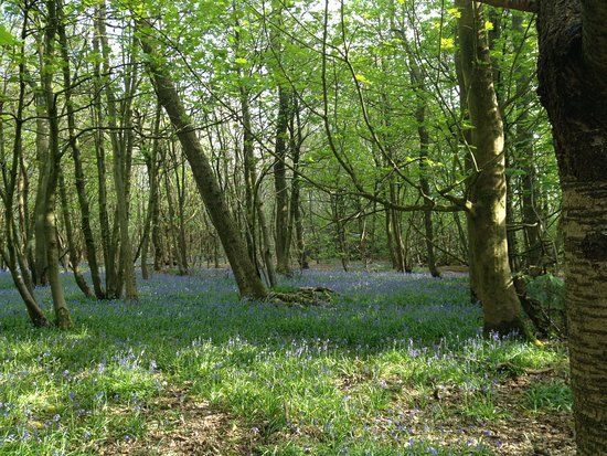 Stanmer Park