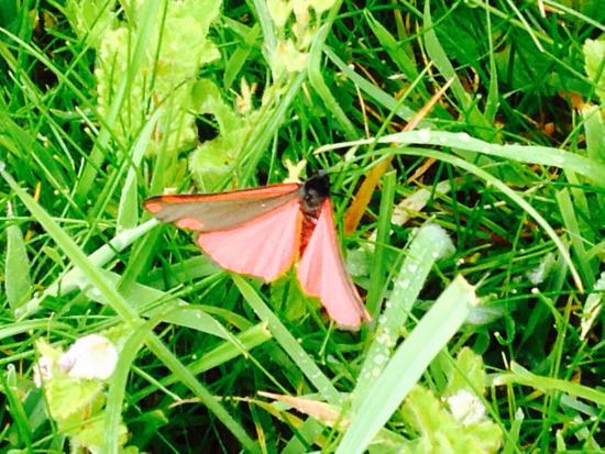 Malling Down Sussex Wildlife Trust Nature Reserve
