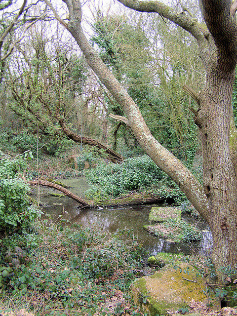 Medieval moated site
